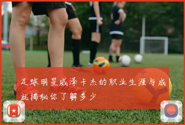 足球明星威泽卡杰的职业生涯与成就揭秘你了解多少