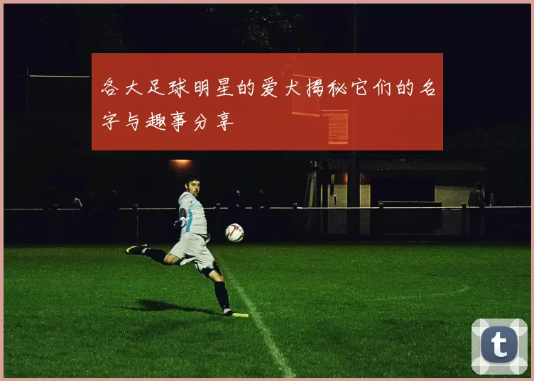 各大足球明星的爱犬揭秘它们的名字与趣事分享