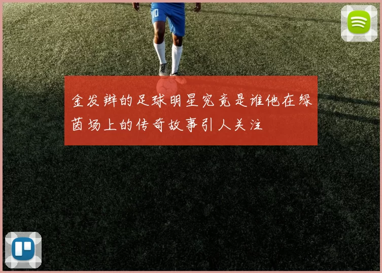 金发辫的足球明星究竟是谁他在绿茵场上的传奇故事引人关注