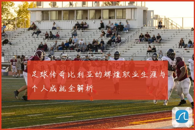 足球传奇比利亚的辉煌职业生涯与个人成就全解析