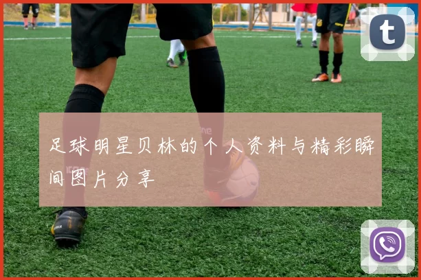 足球明星贝林的个人资料与精彩瞬间图片分享