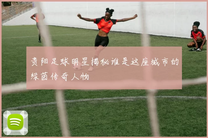 贵阳足球明星揭秘谁是这座城市的绿茵传奇人物