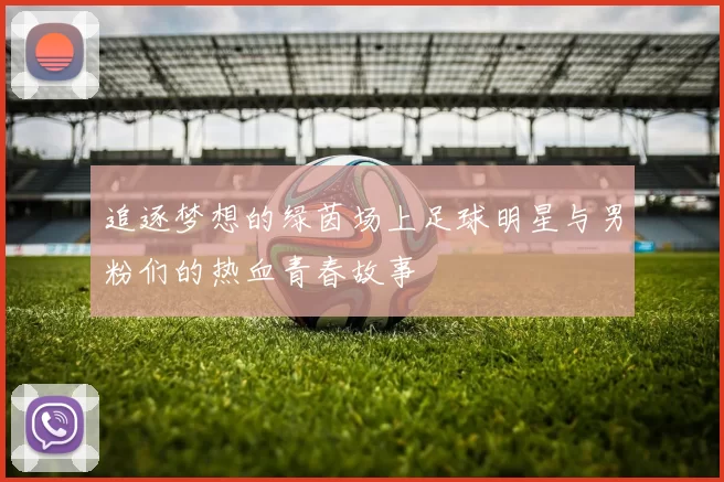 追逐梦想的绿茵场上足球明星与男粉们的热血青春故事