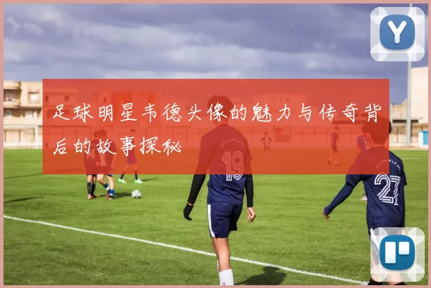 足球明星韦德头像的魅力与传奇背后的故事探秘
