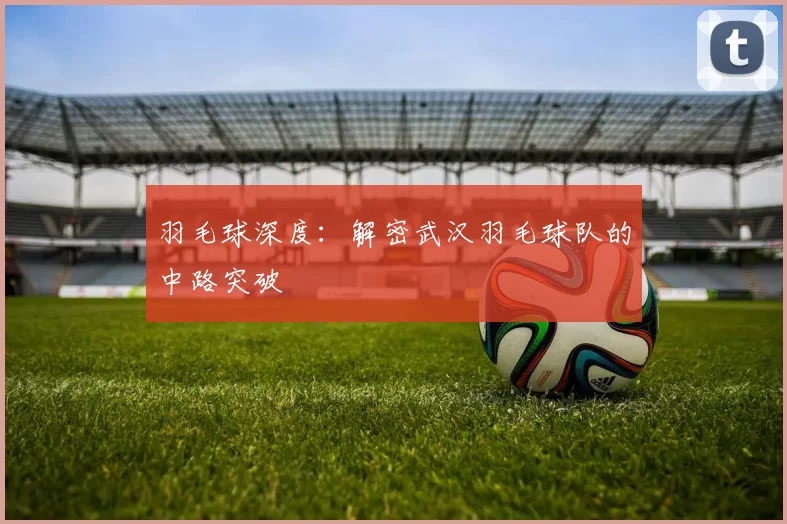 羽毛球深度：解密武汉羽毛球队的中路突破