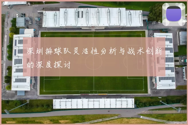 深圳排球队灵活性分析与战术创新的深度探讨