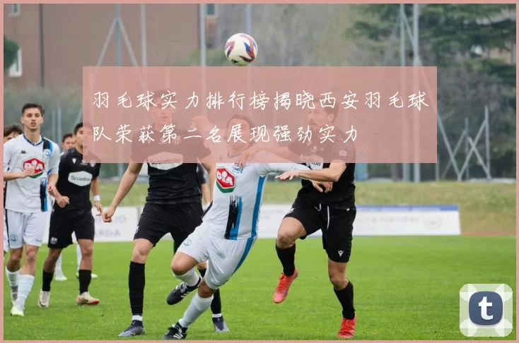 羽毛球实力排行榜揭晓西安羽毛球队荣获第二名展现强劲实力