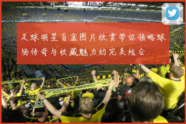 足球明星盲盒图片欣赏带你领略球场传奇与收藏魅力的完美结合