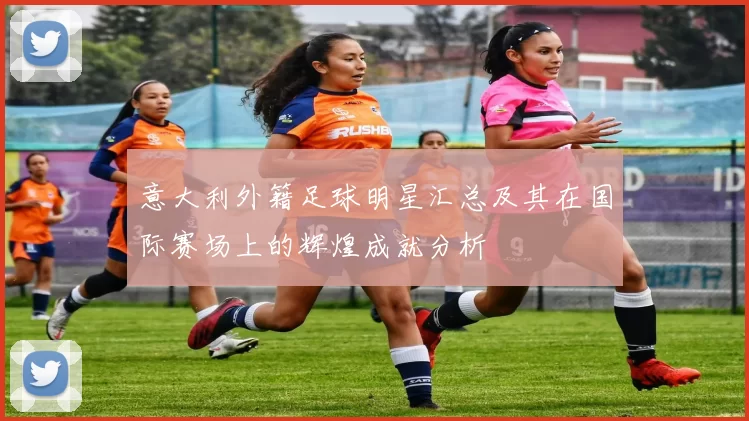 意大利外籍足球明星汇总及其在国际赛场上的辉煌成就分析