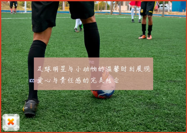 足球明星与小动物的温馨时刻展现爱心与责任感的完美结合