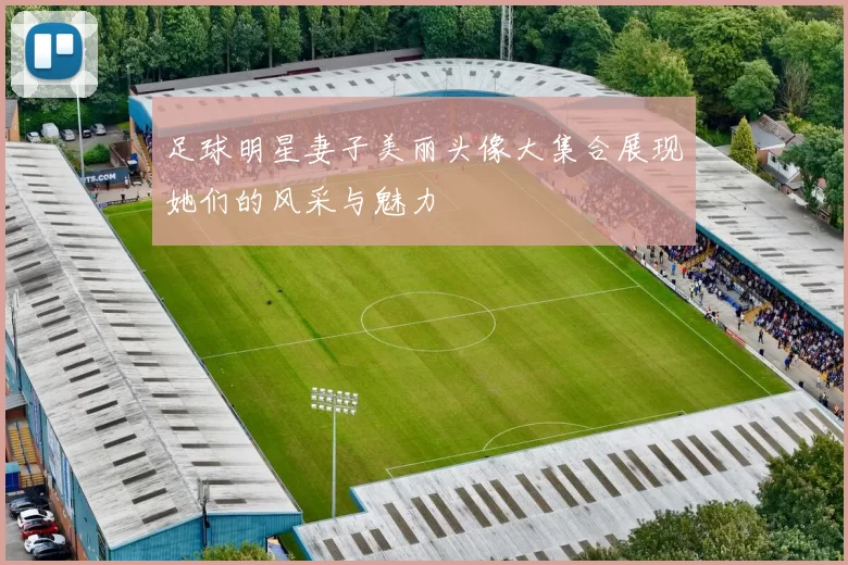 足球明星妻子美丽头像大集合展现她们的风采与魅力