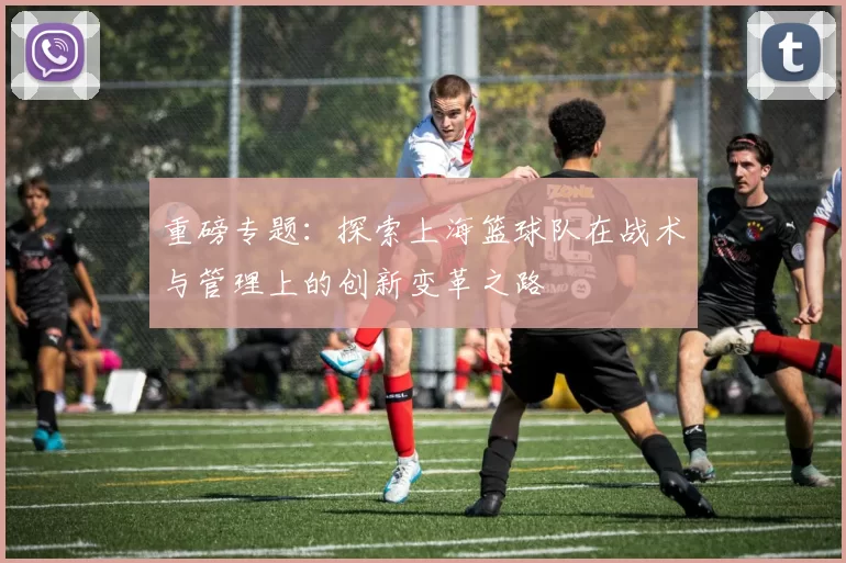 重磅专题：探索上海篮球队在战术与管理上的创新变革之路
