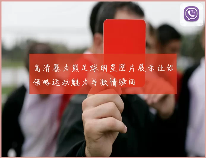 高清暴力熊足球明星图片展示让你领略运动魅力与激情瞬间