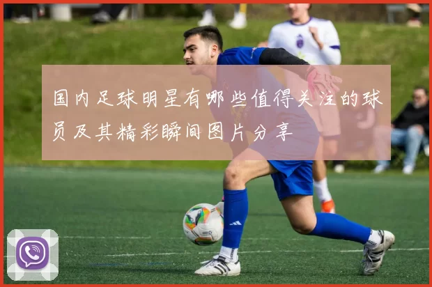 国内足球明星有哪些值得关注的球员及其精彩瞬间图片分享